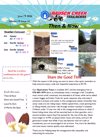 Preview of Volume 19, Issue 14